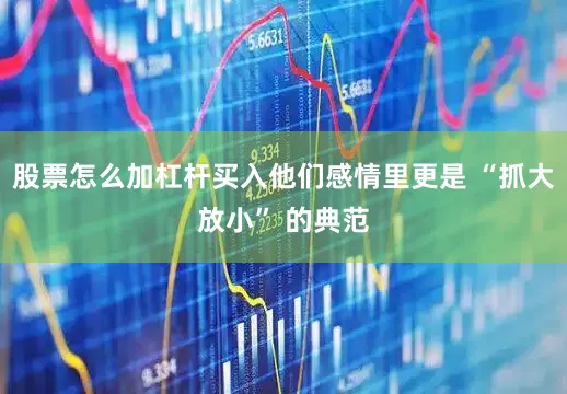 股票怎么加杠杆买入他们感情里更是 “抓大放小” 的典范